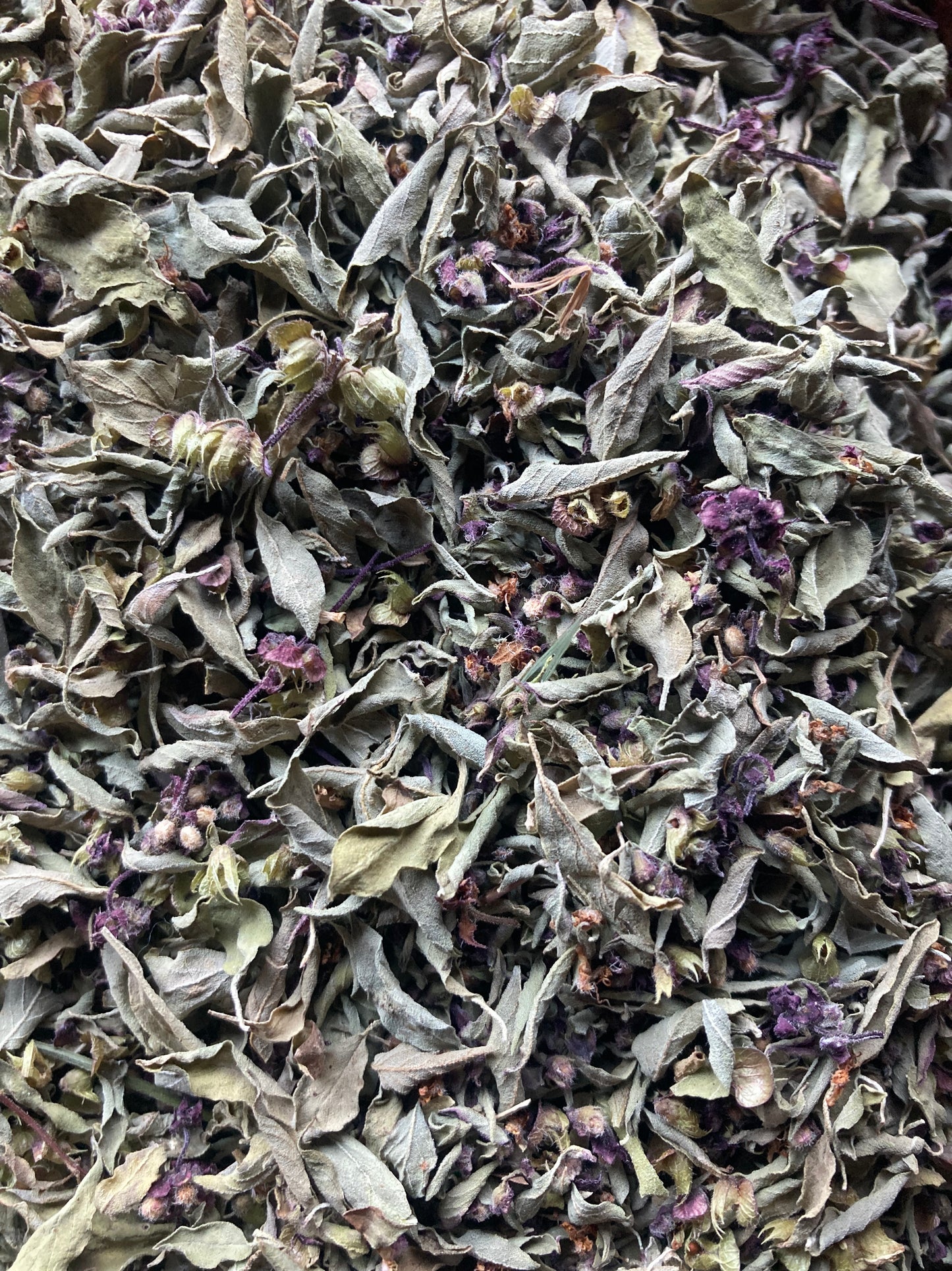 Tisane Mélisse et Basilic Thaï image 4