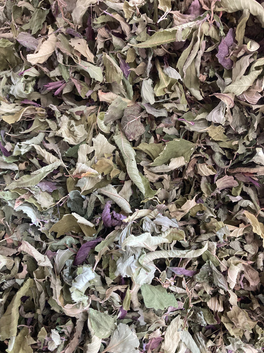 Tisane Agastache mexicaine / Menthes image 0