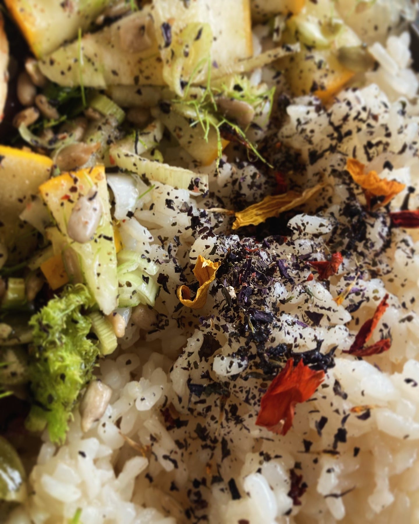 Mix aromatique Shiso pourpre X Tournesol image 3