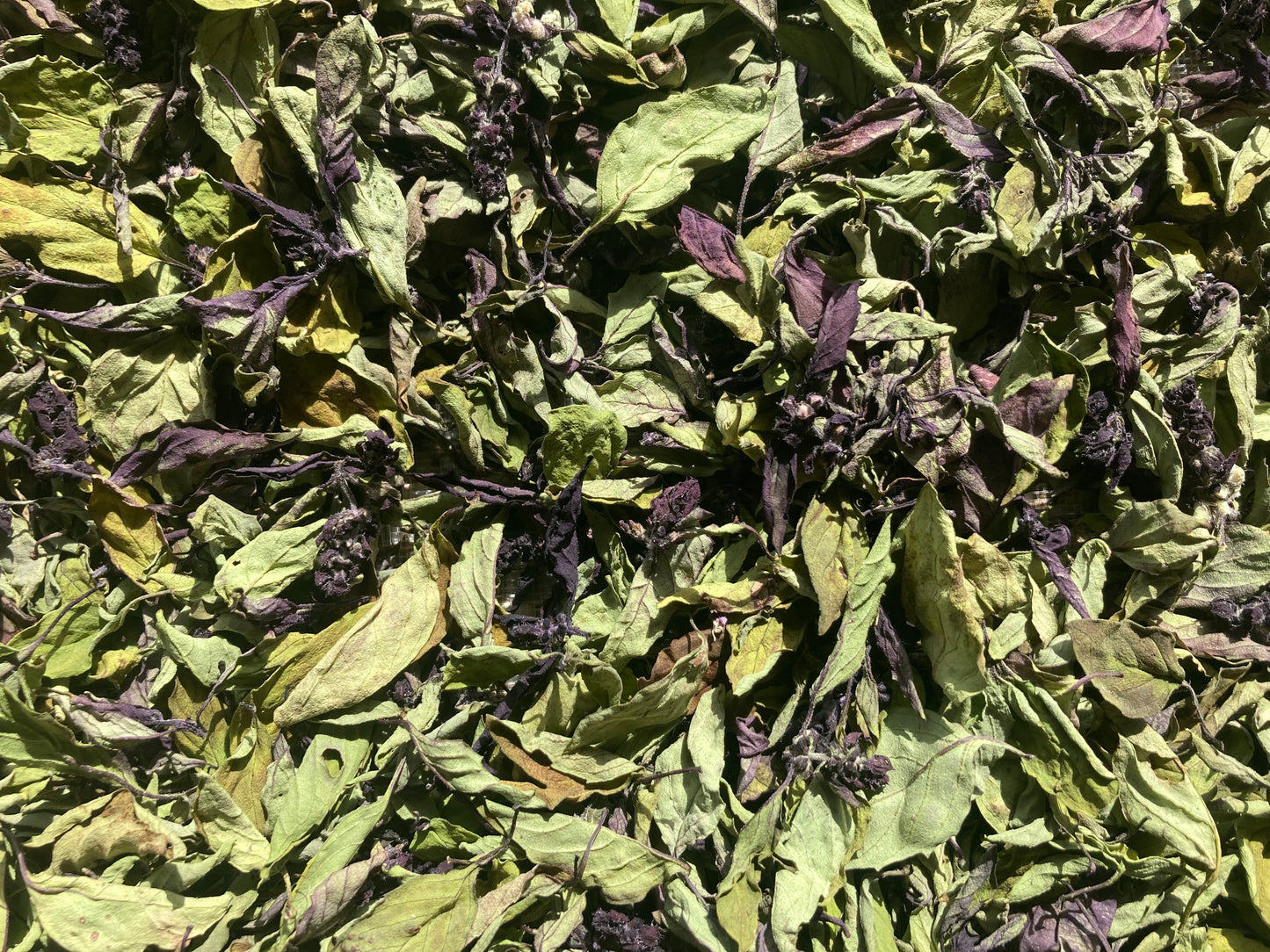 Mix aromatique Basilic 'Cannelle' image 1