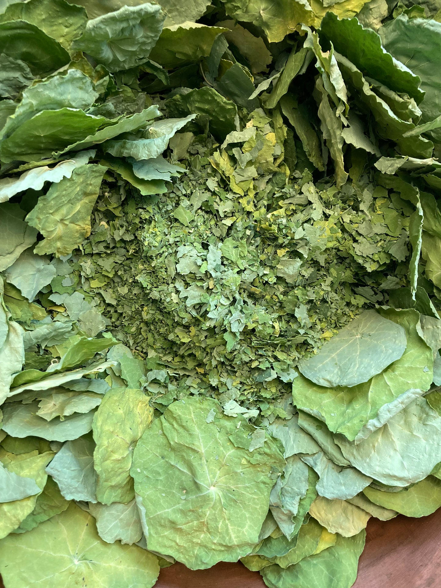 Mix aromatique Capucine image 5