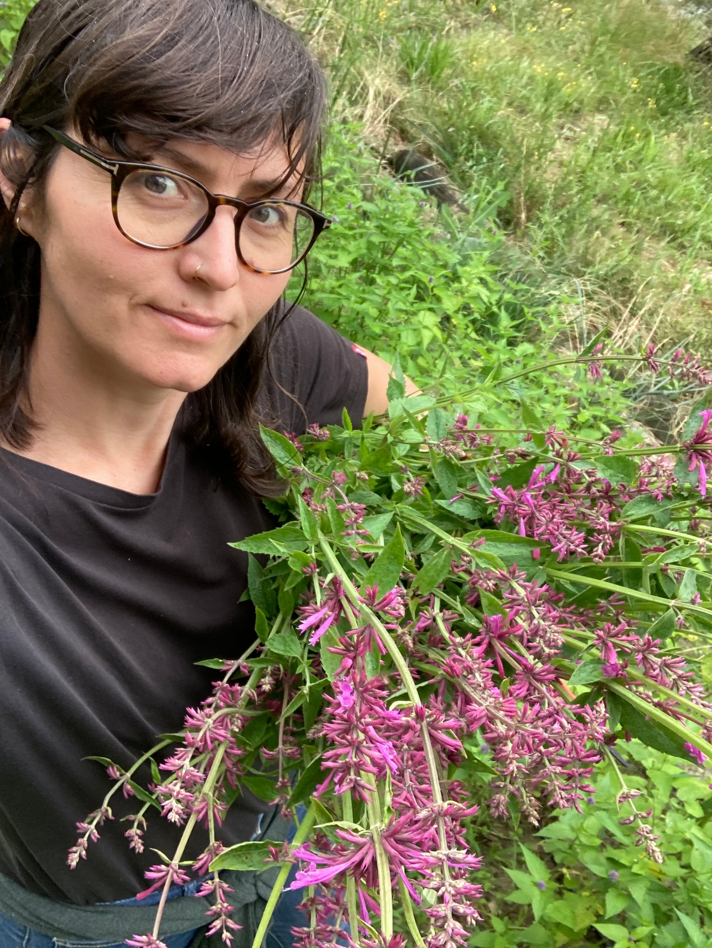 Tisane Agastache mexicaine / Menthes image 5