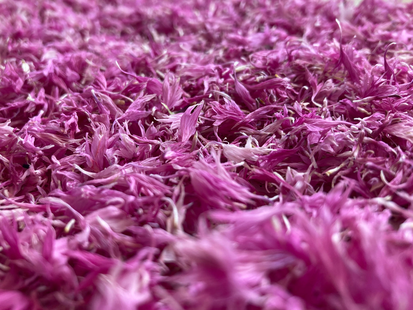 Mix aromatique Feu d'artifleurs Basilic Thaï image 5