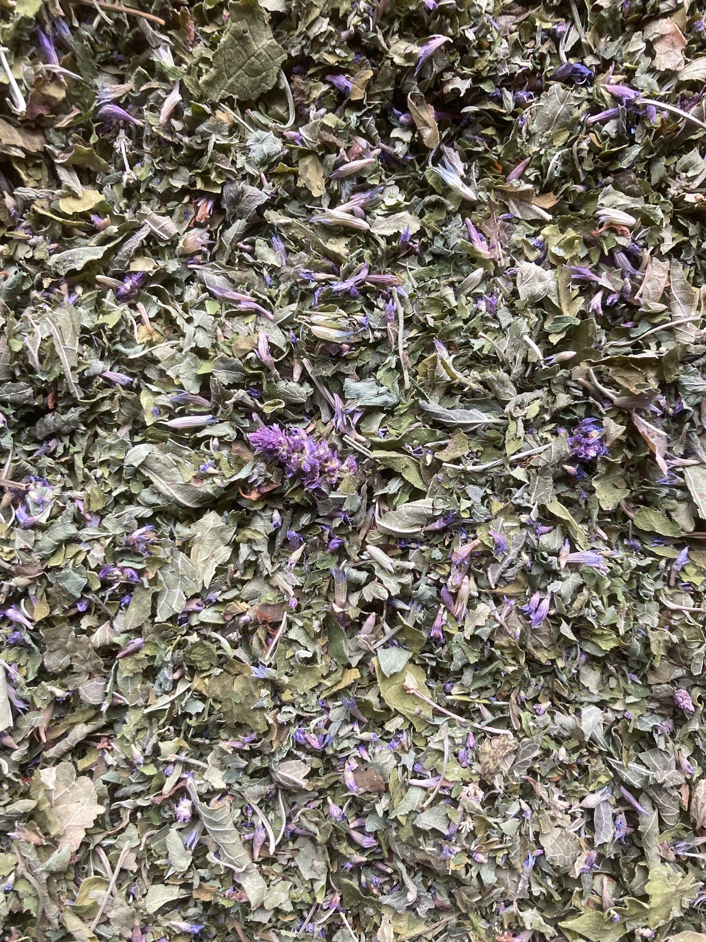 Infusettes tisane Agastache anisée