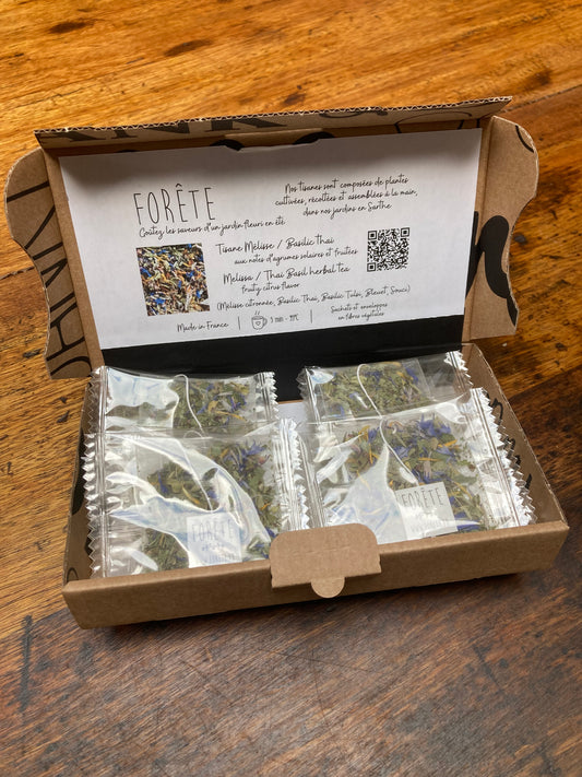 un coffret cadeau 10 infusettes Mélisse / Basilic Thaï ouvert, avec une présentation de la tisane à l'intérieur.