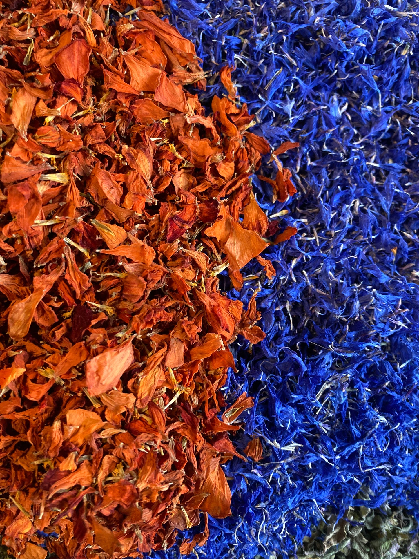 Tisane Origan et Basilic Tulsi image 2