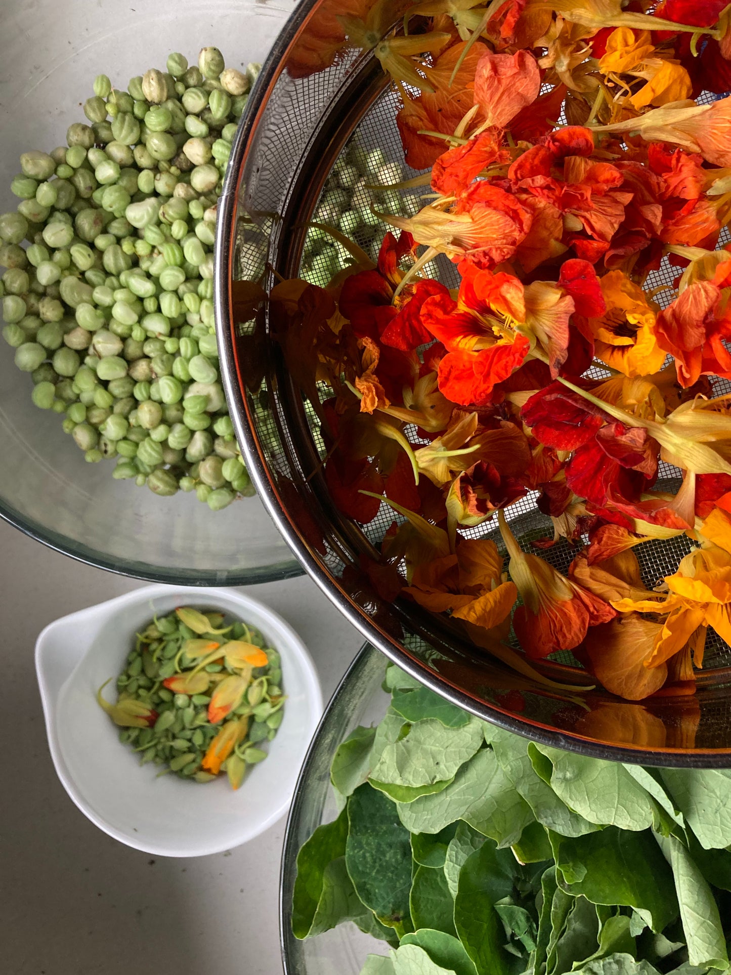 Mix aromatique Capucine image 3