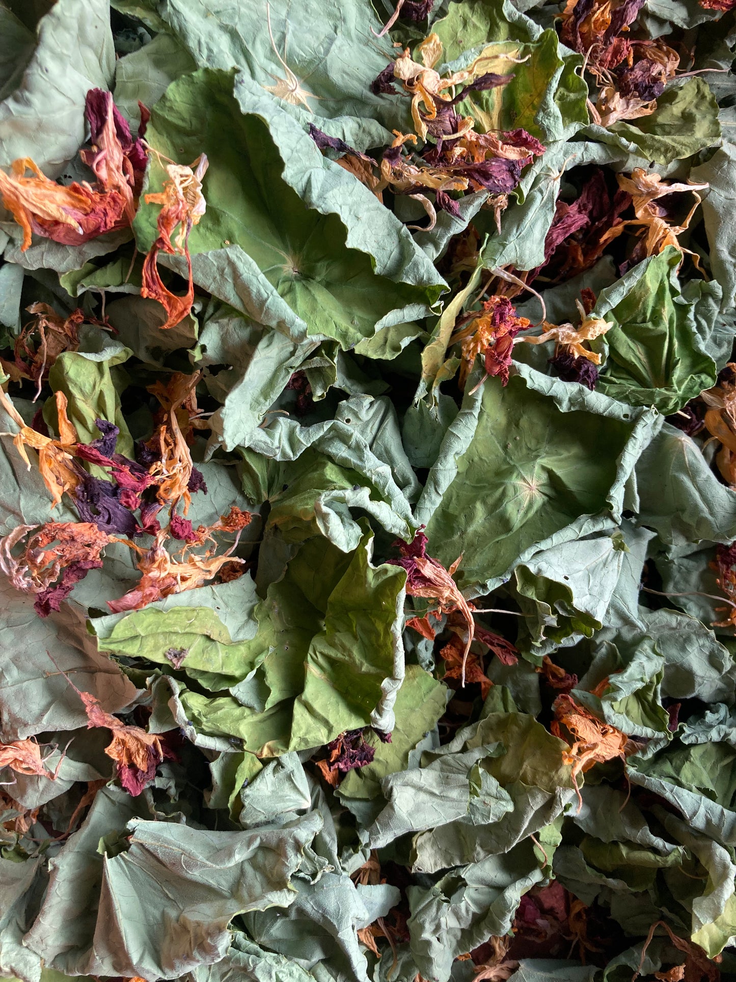 Mix aromatique Capucine image 1