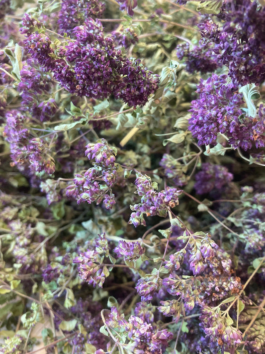 Fermeture pour congés 🍂🍁 - reprise des livraisons le 15/11