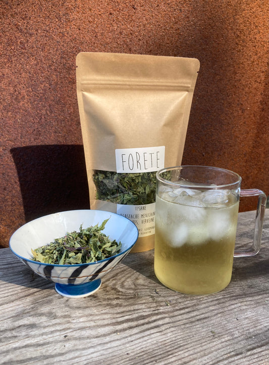Tisane Agastache mexicaine / Menthes image 1