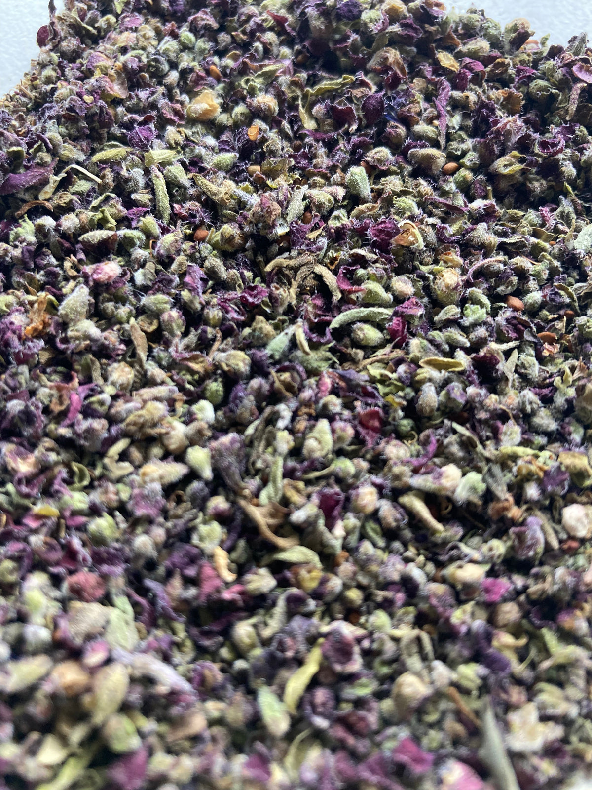 gros plan des fleurs de Basilic Thaï séchées et tamisées
