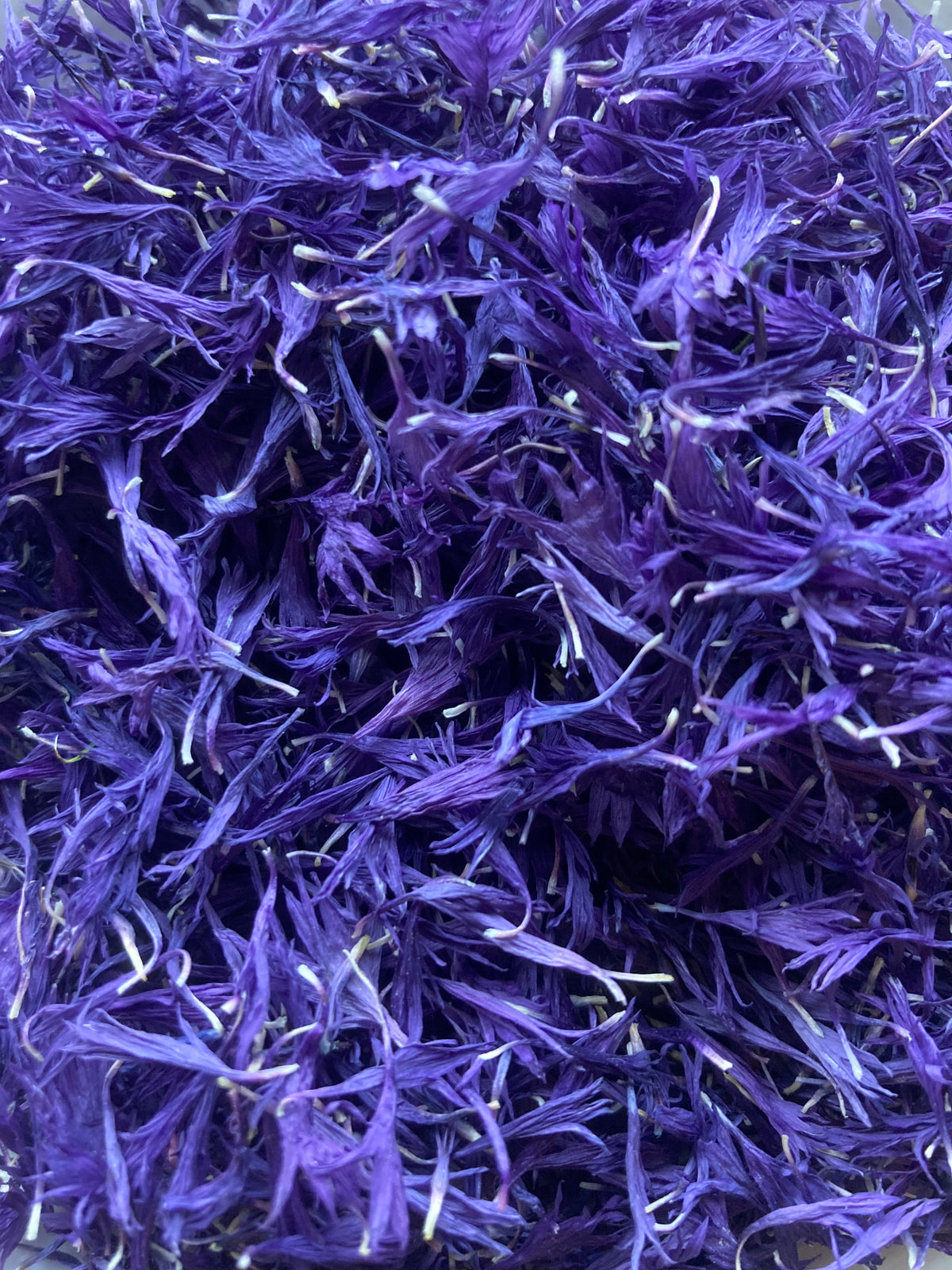 Pétales de Bleuets mauves séchés avant mise en pots à l'atelier.
