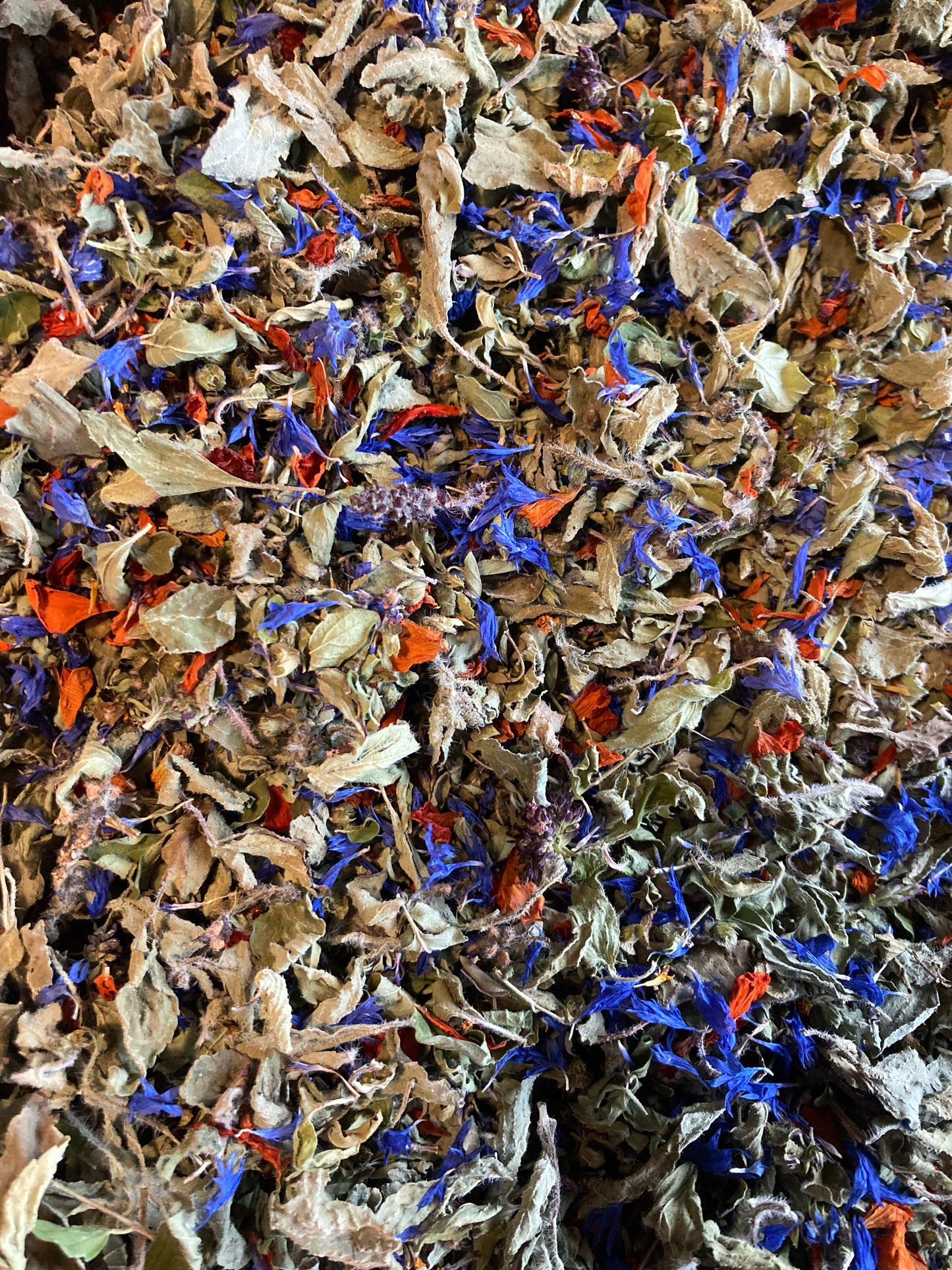 Infusettes tisane Origan / Basilic Tulsi