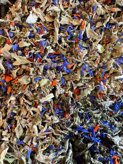 Infusettes tisane Origan / Basilic Tulsi