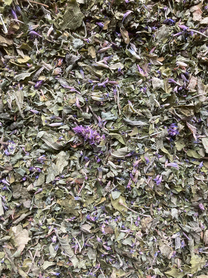 Infusettes tisane Agastache anisée