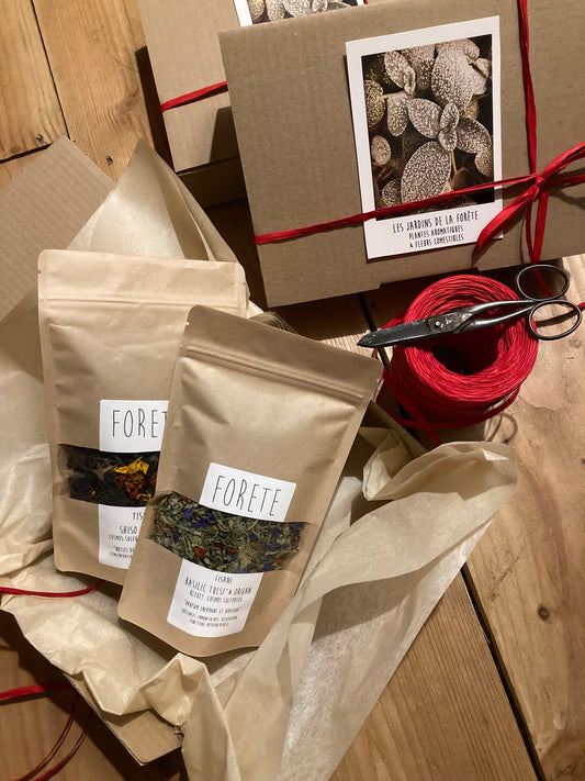Carte Cadeau Forête
