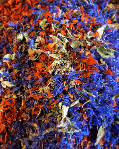 Tisane Origan et Basilic Tulsi image 3