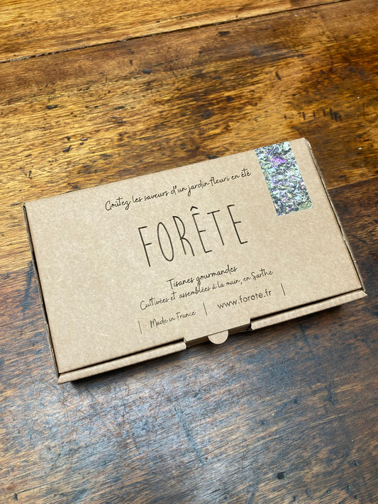 un coffret cadeau de 10 infusettes Forête Agastache anisée
