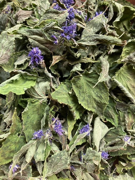 Tisane Agastache anisée image 0
