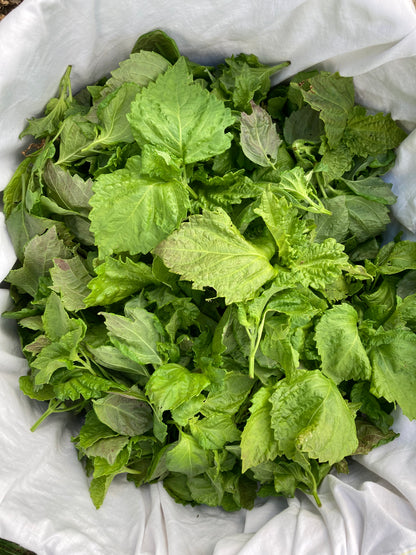 Mix aromatique Umami bleu image 5