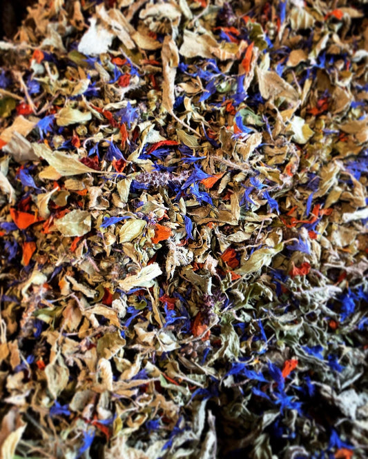 Tisane Origan et Basilic Tulsi image 0