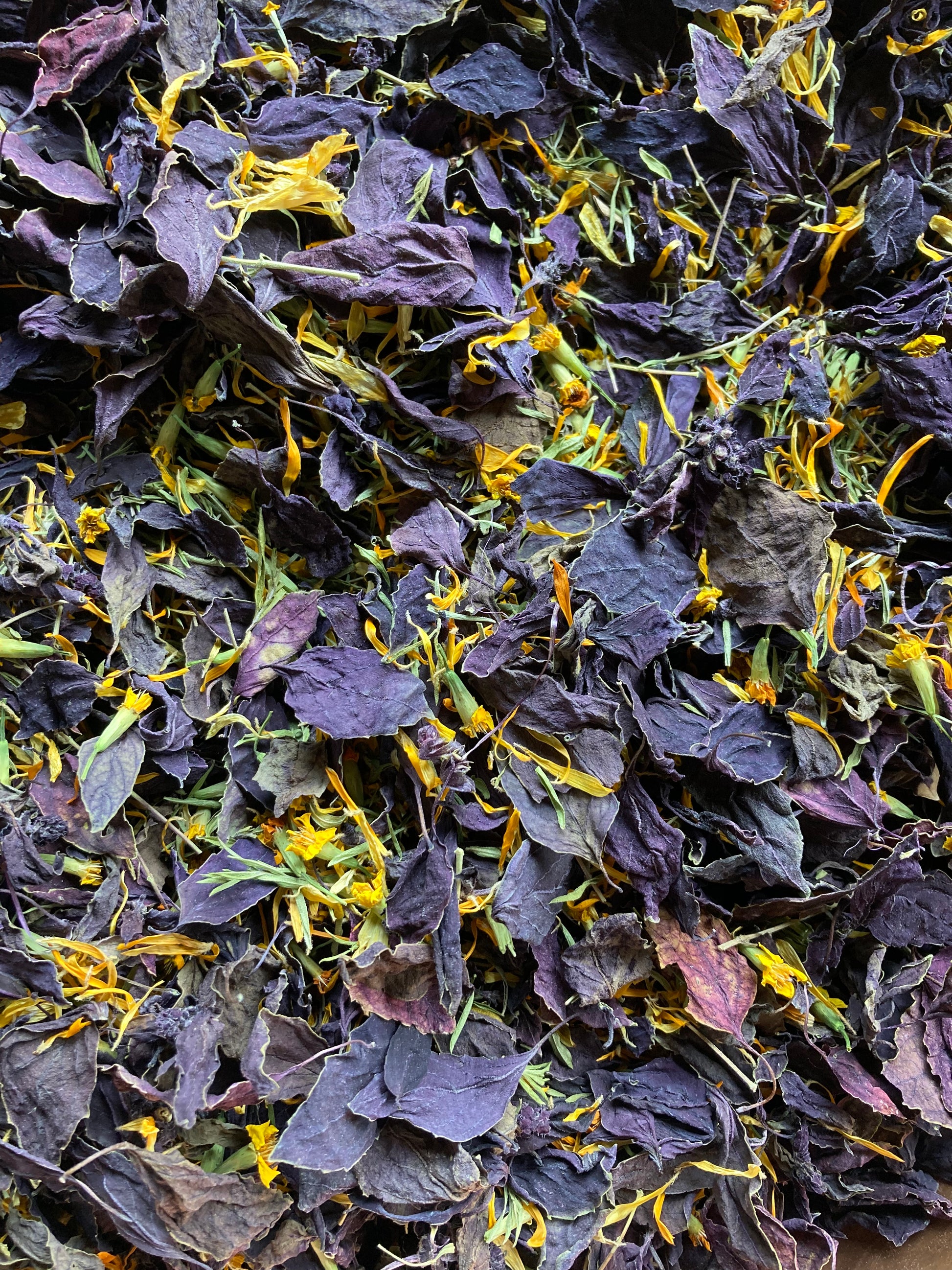 Tisane Basilic pourpre et Sarriette image 0