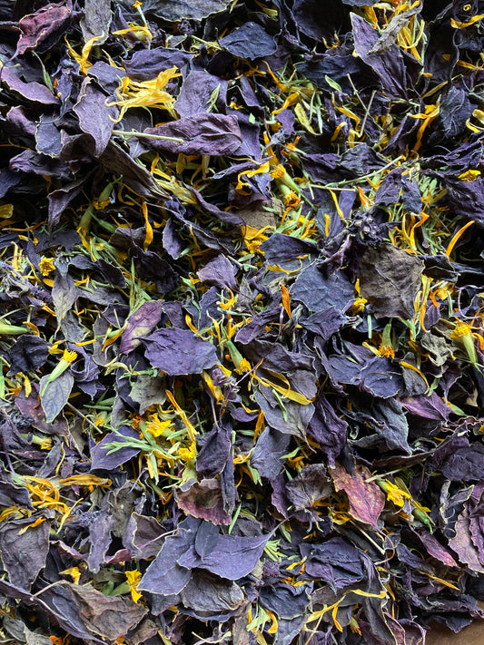 Tisane Basilic pourpre et Sarriette image 0