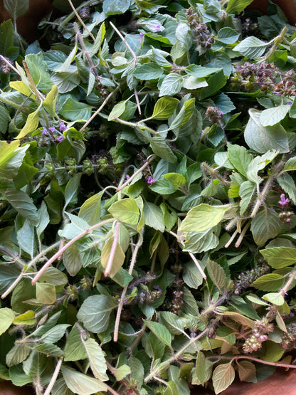 Tisane Mélisse et Basilic Thaï image 5