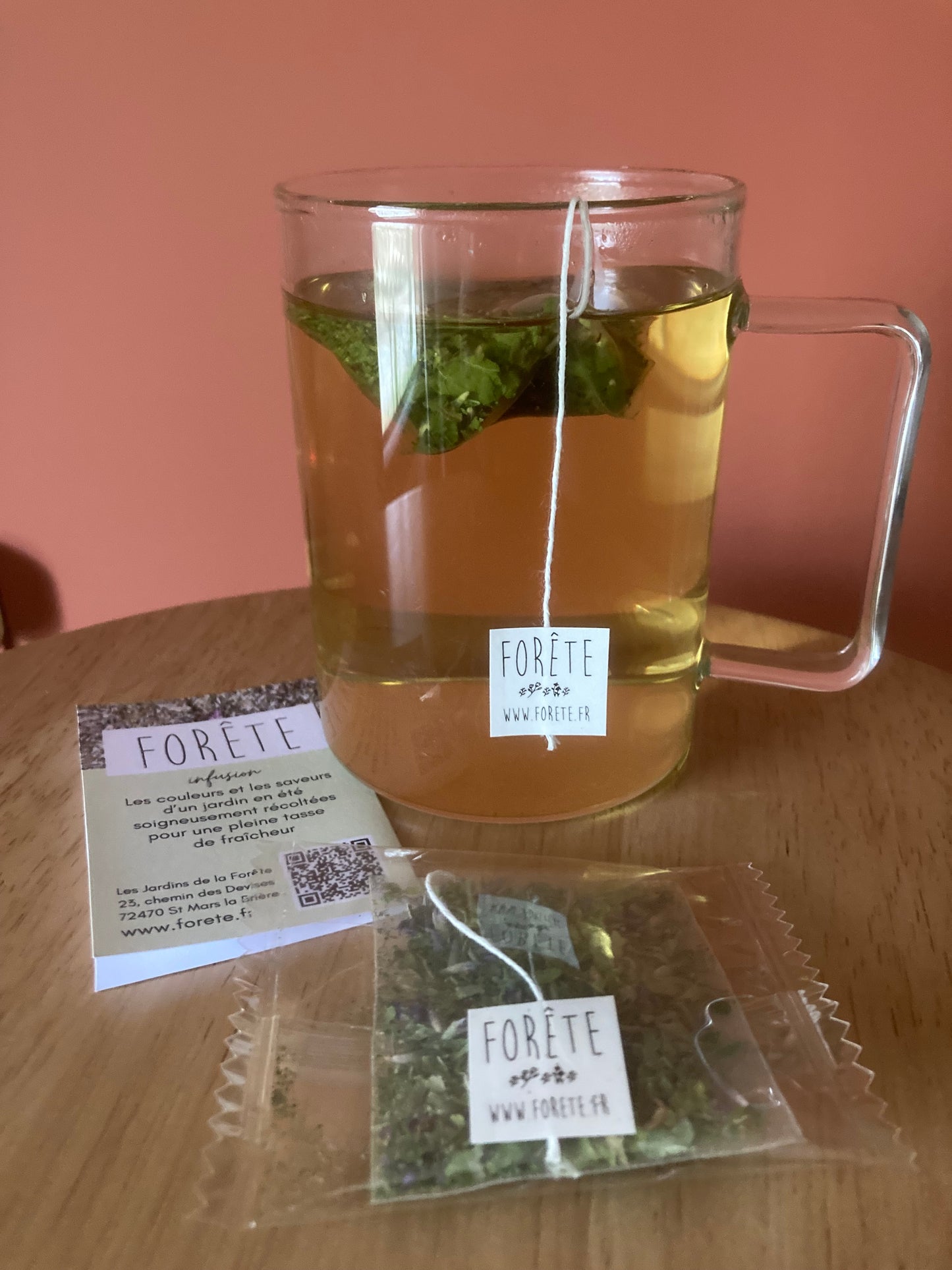 Infusettes tisane Agastache anisée