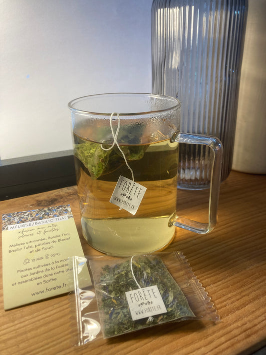 Infusettes tisane Mélisse / Basilic Thaï