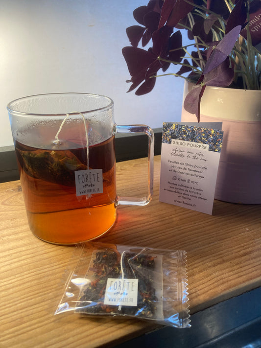 Infusettes tisane Shiso pourpre / Tournesol
