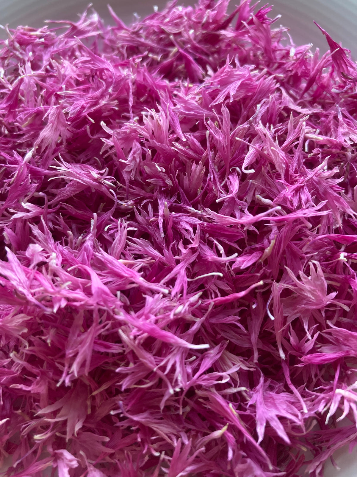 des pétales de Bleuet rose séchés vus de près